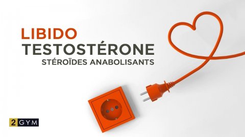 Libido, Testostérone et Stéroïdes Anabolisants